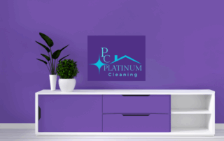 Spend It In Platinum Cleaning in Kansas City KS main