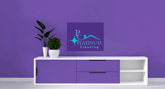 Spend It In Platinum Cleaning in Kansas City KS main