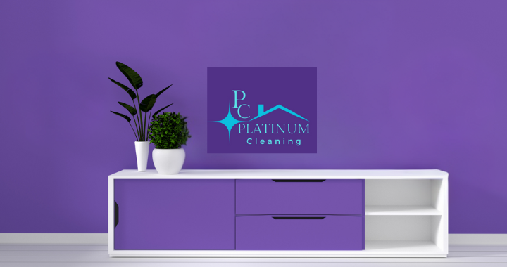 Spend It In Platinum Cleaning in Kansas City KS main