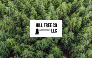 Spend It In Hill Tree Co in Columbia MO main