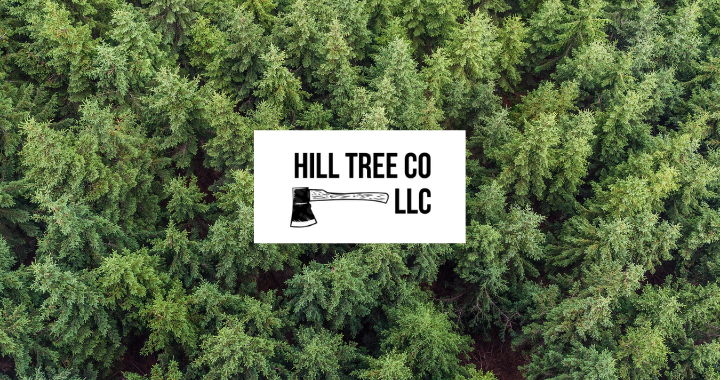 Spend It In Hill Tree Co in Columbia MO main