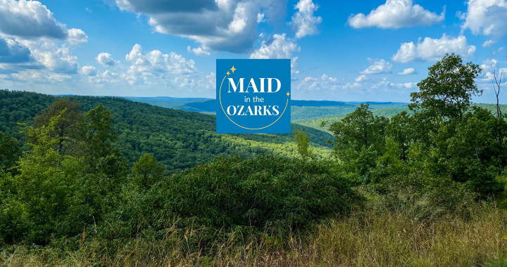 Spend It In Maid in the Ozarks in Nixa, MO main