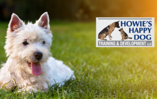 Spend It In Howie's Happy Dog Training in Columbia MO main