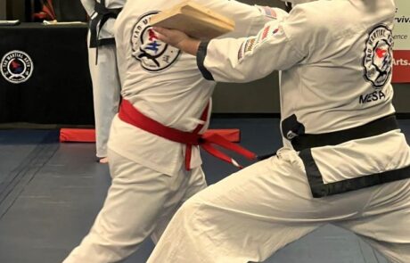 Tao Martial Arts Mesa AZ 5