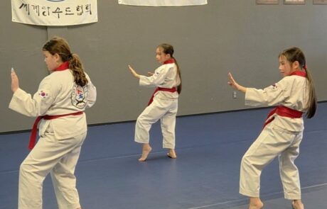 Tao Martial Arts Mesa AZ 7