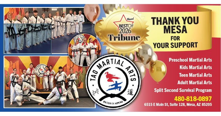Tao Martial Arts Mesa AZ main