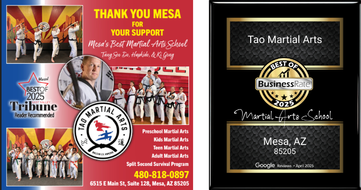 Tao Martial Arts awards