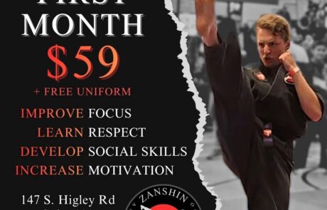 Zanshin American Karate ad Zanshin American Karate ad