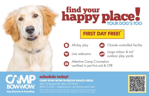 Camp Bow Wow main Camp Bow Wow main