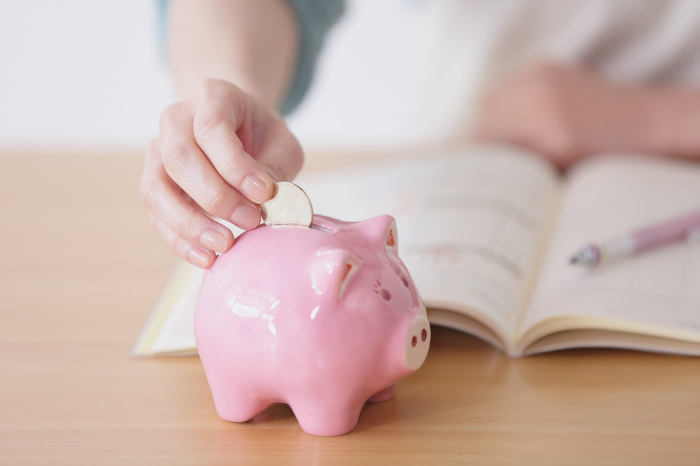 Spend It In Richard Fuhr, Daily Money Manager 6 Spend It In Richard Fuhr, Daily Money Manager 6